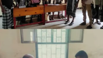 Img ٢٠٢٥٠٨٢٥ ١٦٣٠١٧