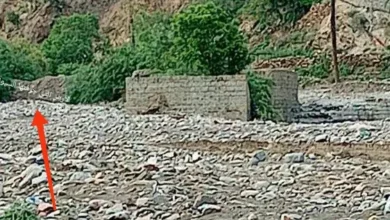 Img ٢٠٢٥٠٨٢٥ ٢٣٥١١٧