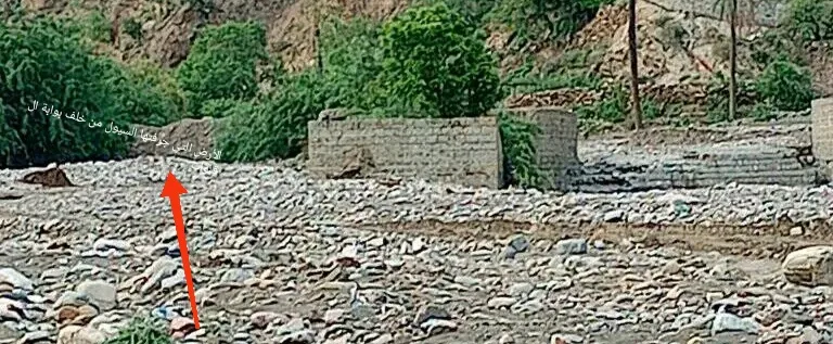 Img ٢٠٢٥٠٨٢٥ ٢٣٥١١٧