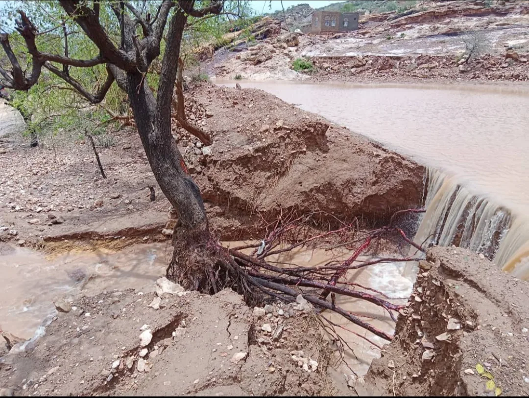 Img ٢٠٢٥٠٨٢٦ ١٨٤٩٢٨