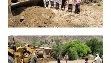 Img ٢٠٢٥٠٨٢٦ ١٩١٨٤٧