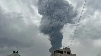 Yf2025 08 24 07 00 58 897374