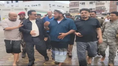 Ab19f211 43c1 4d6d 9129 Da97a28de87c