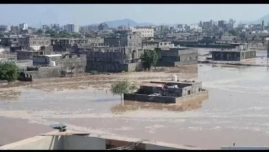 C0253498 8122 474f A291 4671e6da3800