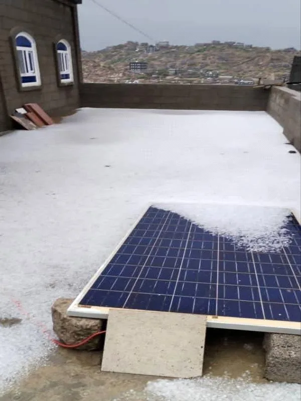 D636a5d0 9c8f 43d6 B01d Dcc29783f8f9