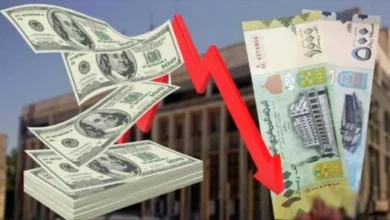 Dfce481d 26ff 494e B12c 924b06202900