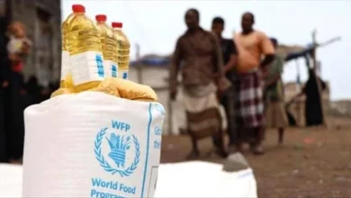 Ead0088e F5df 4b8c 87ec 67377c6de30f