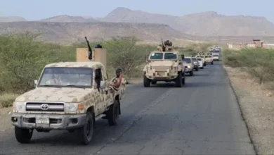 Ee8369ba D5c1 4188 9da5 Da7661d9115d