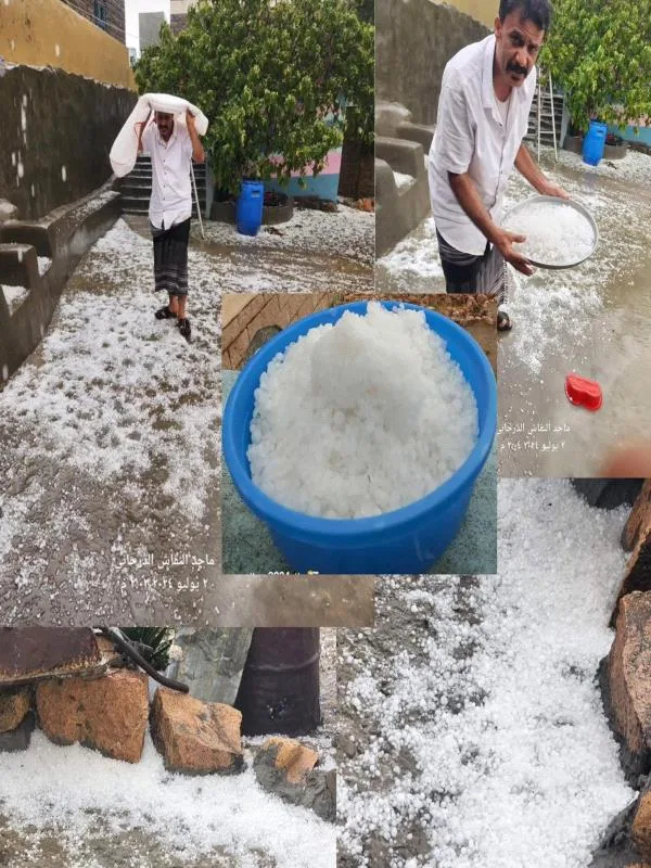 F5add069 0f57 4571 9847 Ff678a2b4e32