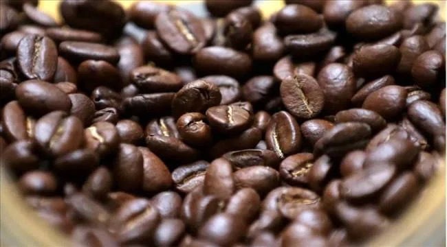 Ff4ccd6d 4a97 457d 9641 57cbaae063ff