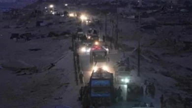 032ff654 Ca14 43da 87d9 A10ad6510683