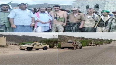 12ff78f8 Cd50 4ff1 84f5 3727e7968141 (1)