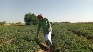 539604999 2166557593854367 2638637243523858803 N