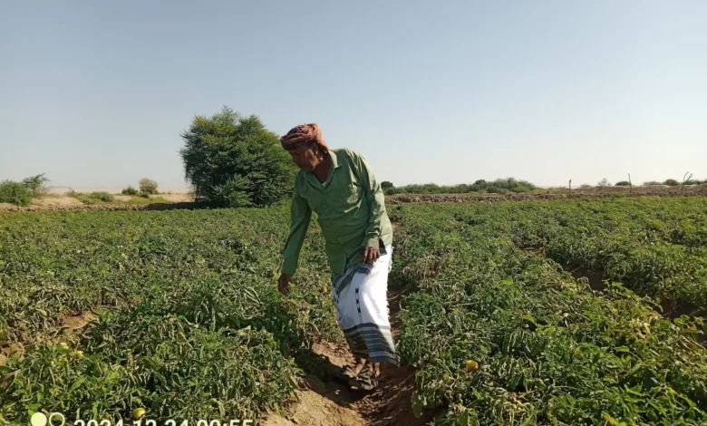 539604999 2166557593854367 2638637243523858803 N