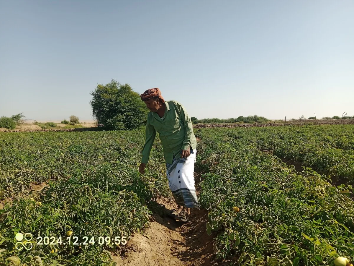 539604999 2166557593854367 2638637243523858803 N