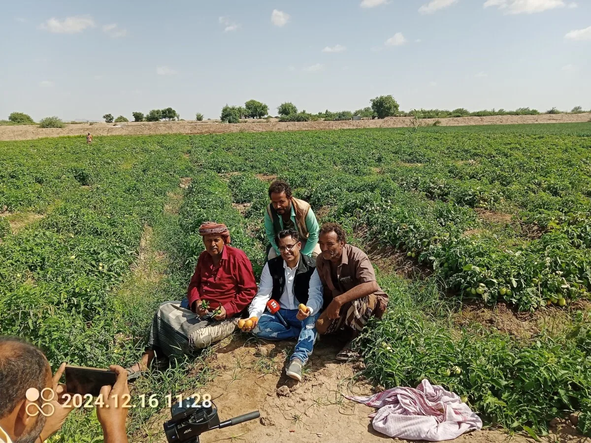 540366621 2166569687186491 4074246530924953448 N