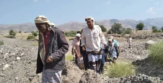 540707433 2166533990523394 5722606840075335732 N