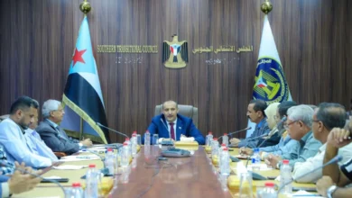 545598507 10223740629221957 8340196096295711985 N