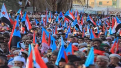 54a4bdc4 Cf91 4e26 A82c Bbae8f87b21e