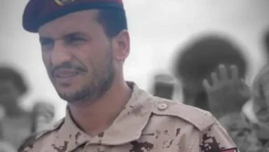 73b48ae7 8921 4729 9499 8aaa3c18db09