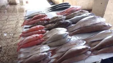 91d7a9b2 153e 438c 96a0 Eee09498c24a