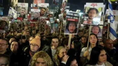 Dc2b03a8 5c44 45b9 B4b5 4306f77024ea