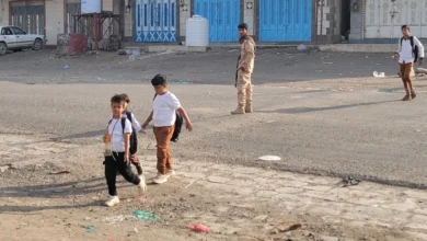 ٢٠٢٥٠٩١٣ ٠٧٣٩١١