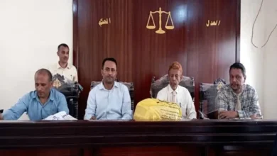 7fbefc98 77aa 45a0 B0c2 A334f675058b