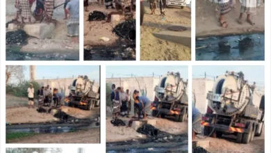 Img 20251008 Wa0081(1)