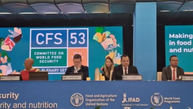 Img 20251023 Wa0015(1)