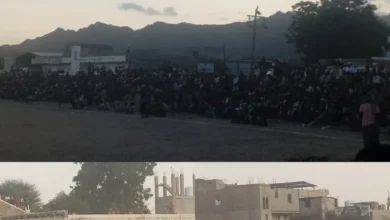 Img ٢٠٢٥١٠٠٩ ٢٠١٢٥٠