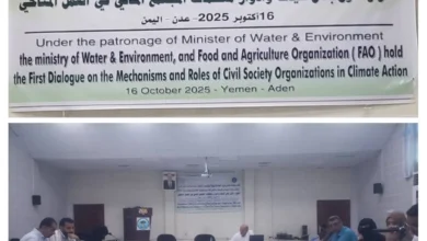 Img ٢٠٢٥١٠١٦ ١٣٣٩٣٩ Collage