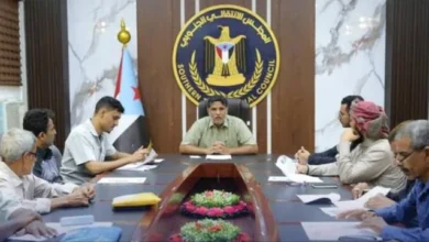 B0a4f229 A8a1 4f3b B896 5938d485109f