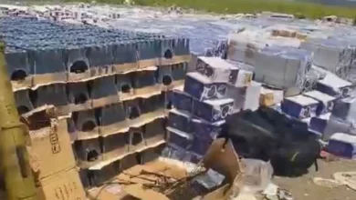 C4e33fe6 63c6 40e4 B6bc D217ef7b45b8