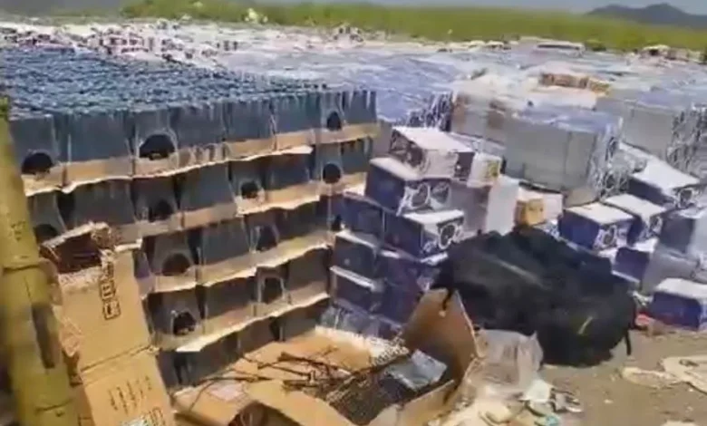 C4e33fe6 63c6 40e4 B6bc D217ef7b45b8