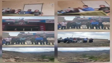 E5b16b80 5ae6 4a01 8281 A5aea1545458