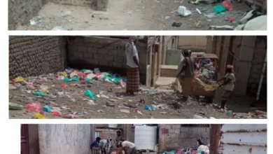 Photo ٢٠٢٥ ١٠ ١٠ ٠٣ ٢٩ ٤٨