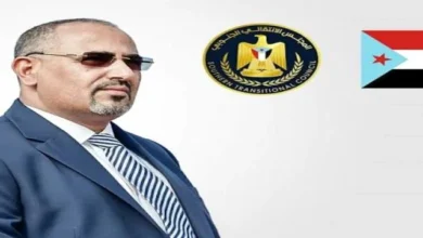 216fe865 52a0 48f5 B2e8 70eee1832cb3