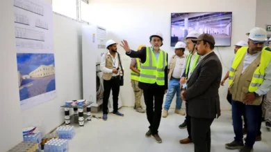 586267217 827309146757729 881695610210427933 N