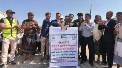 Dji 20251112094049 0071 D(4)