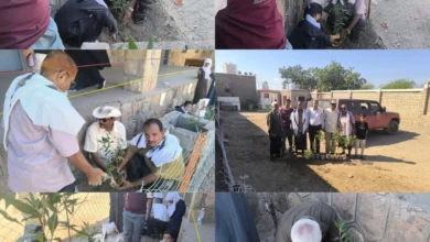 Fb Img 1763909592782