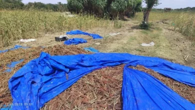 Img 20251122 Wa0474(1)