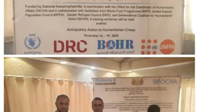 Img ٢٠٢٥١١١٦ ١٧٥٤٠٦ Collage