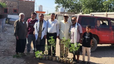 Img ٢٠٢٥١١٢٣ ١٢٥٥٢٦