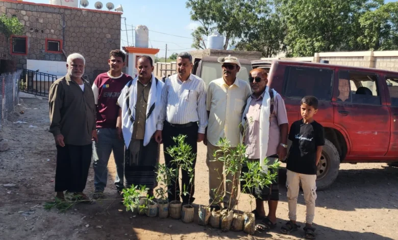 Img ٢٠٢٥١١٢٣ ١٢٥٥٢٦