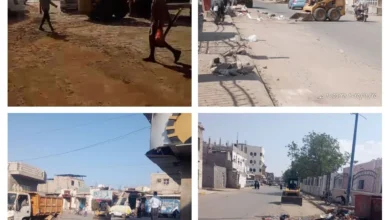 Img ٢٠٢٥١١٢٥ ١٦٤١٢٣ Collage