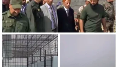 Img ٢٠٢٥١١٢٥ ٢١٠٦٣٤ Collage