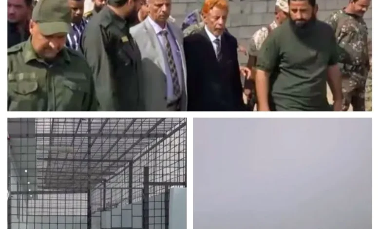 Img ٢٠٢٥١١٢٥ ٢١٠٦٣٤ Collage