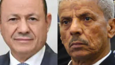 Img ٢٠٢٥١١٢٩ ٢٠٣٠١٤