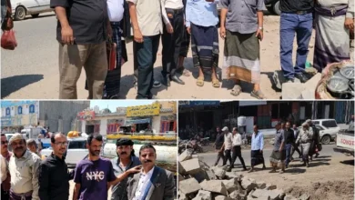 Puzzle ٢٠٢٥١١٠٥ ١٦١٩٤٧